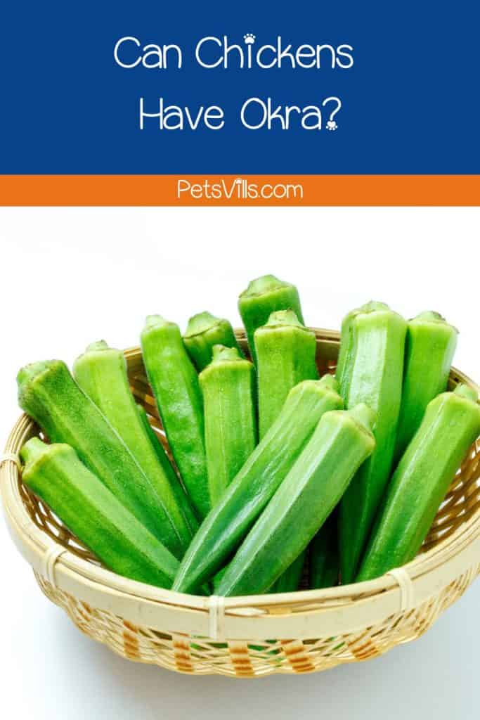 wooden bowl with okra