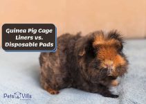 Guinea Pig Cage Liners vs. Disposable Pads: Which is Better?