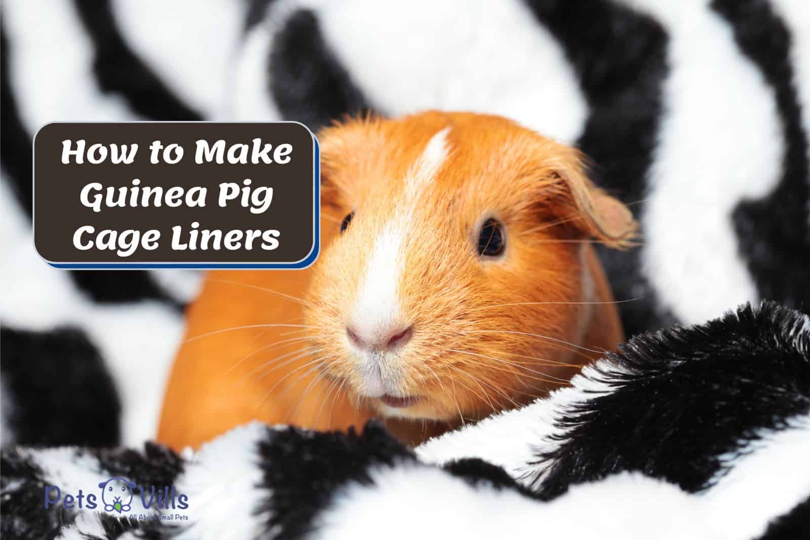 guinea pig lying on a soft cage liner beside 