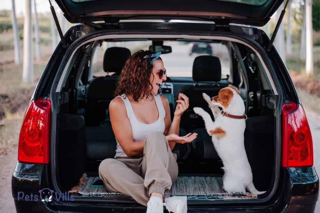 lady and her dog having a break while traveling