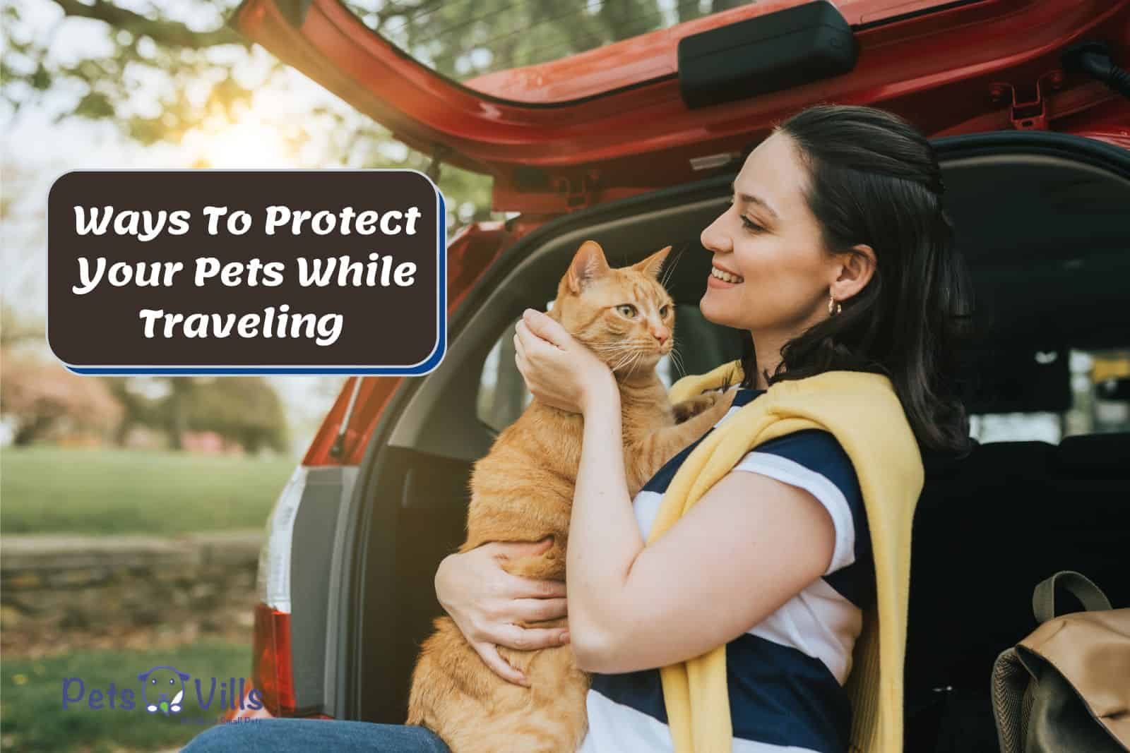 Cat traveling with her fur mom but what are the Ways To Protect Your Pets While Traveling?