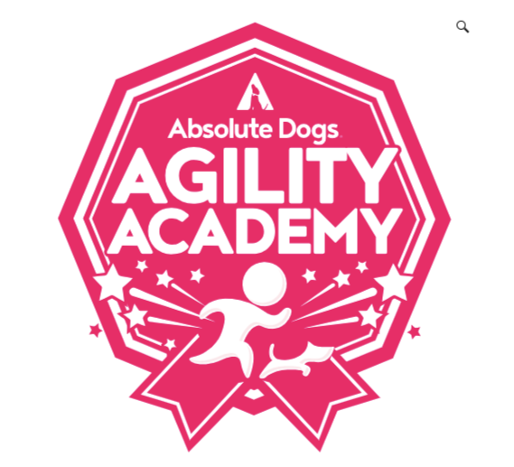 Agility Academy of Absolute Dogs Training Academy by Tom Mitchell and Lauren Langman