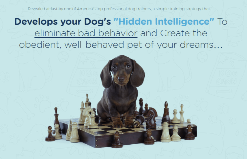 Brain Training for Dogs by Adrienne Farricelli