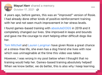Testimonial from Agility Academy of Absolute Dogs Training Academy by Tom Mitchell and Lauren Langman