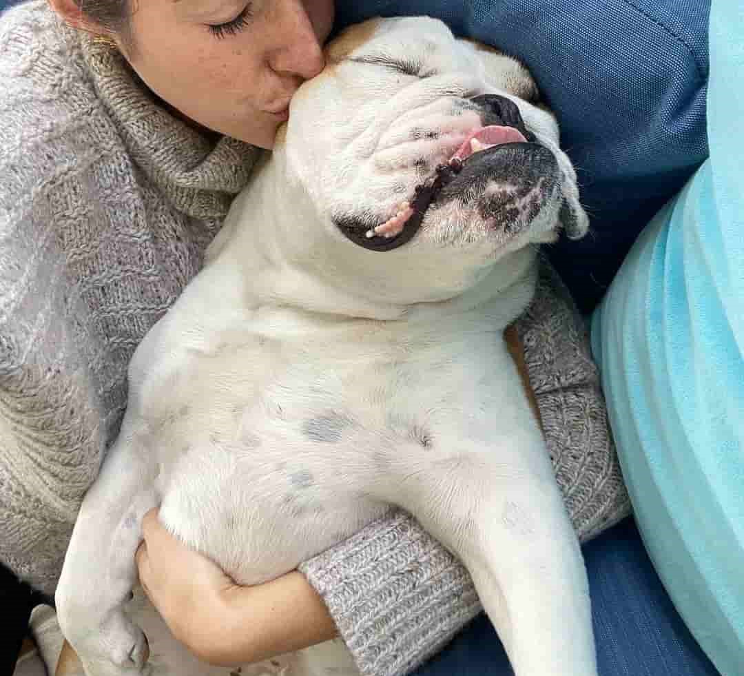 A dog is sleeping next to its owner