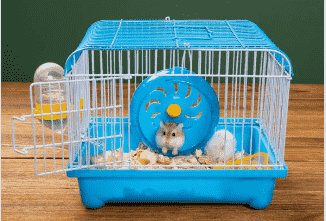 Hamster playing with wheel toys in its cage