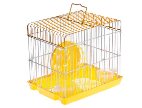 Chinchilla cage