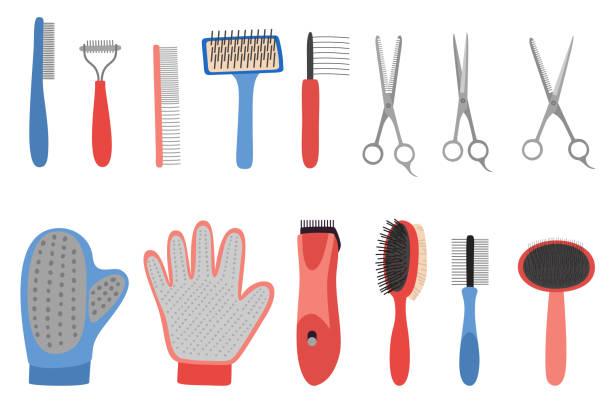Recommended Tools and Brushes for Grooming

